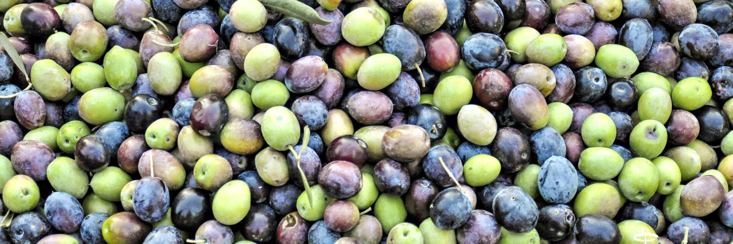 Ramon de les Olives banner