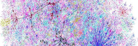 ₍ᐢ. ̫.ᐢ₎ ໒꒱ ‧₊˚ banner