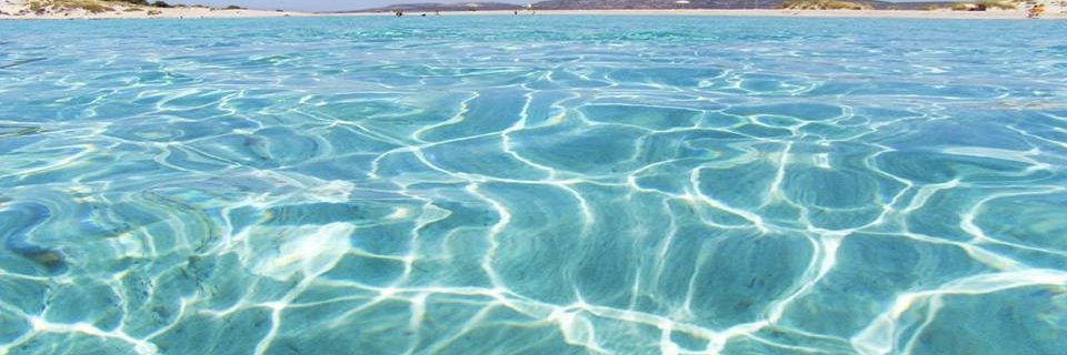 Manolis Dermitzakis banner