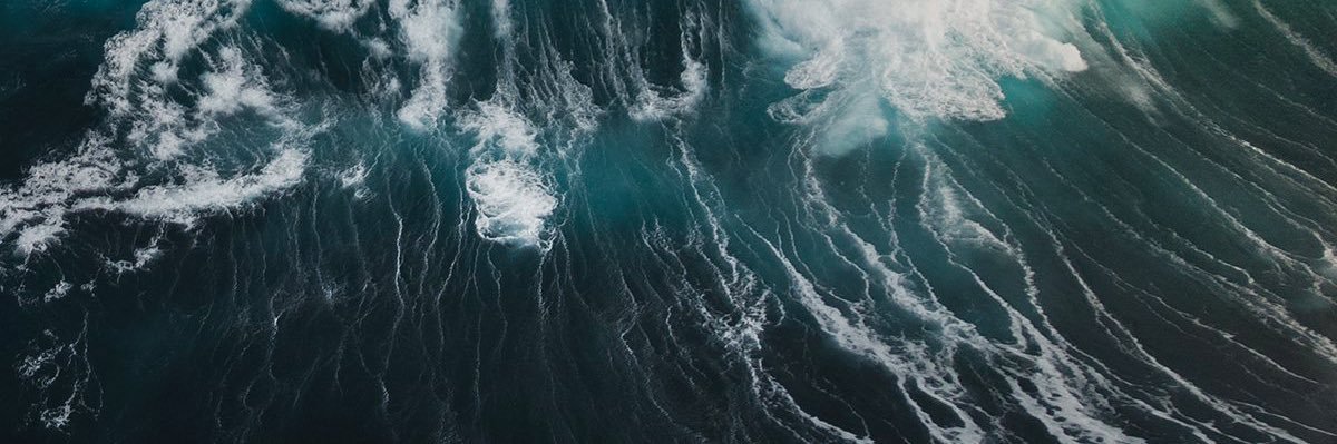 noemilopezg's profile banner image