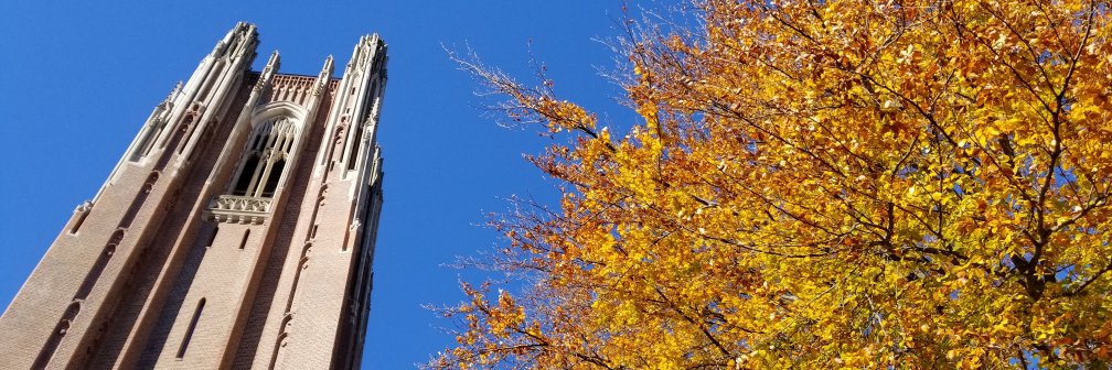 wellesleyalums's profile banner image