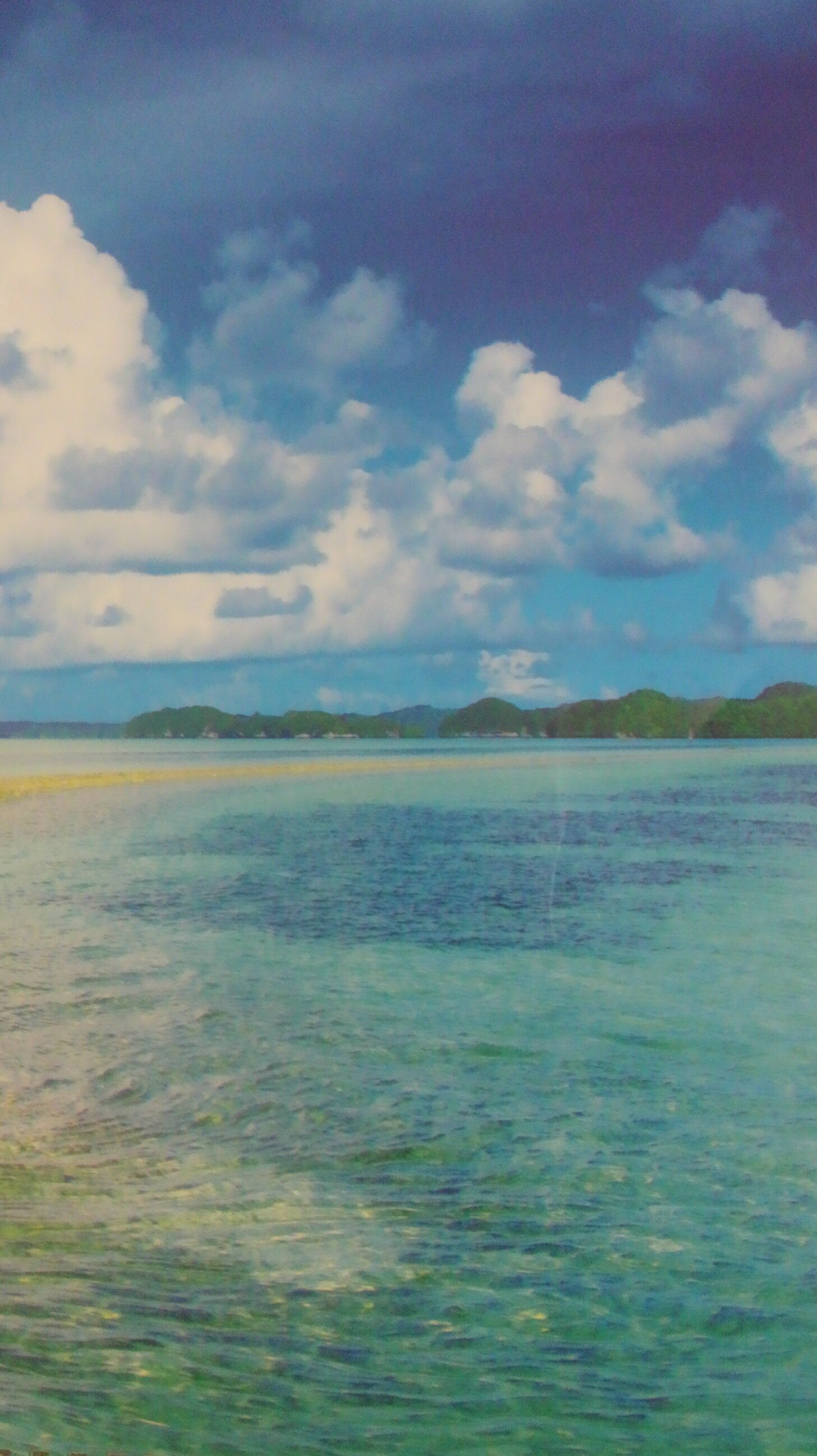 okuchusan's profile banner image