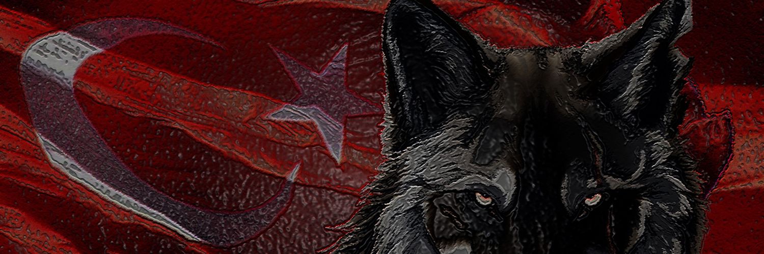Bozkurtlar92's profile banner image