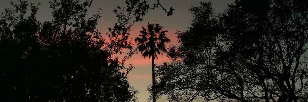 albatg_22's profile banner image