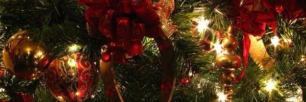 ILikeAnimal22 Profile Banner