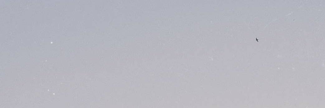 XOBC614's profile banner image
