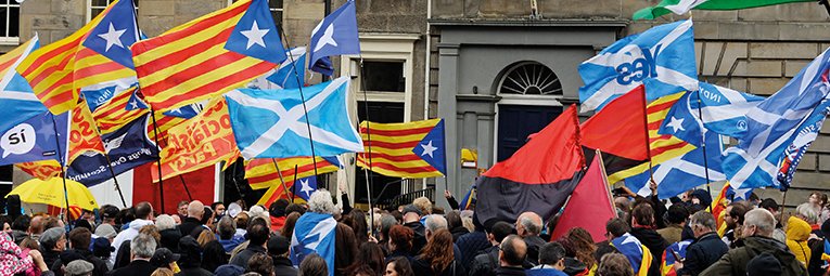 Emma Scot Cat banner