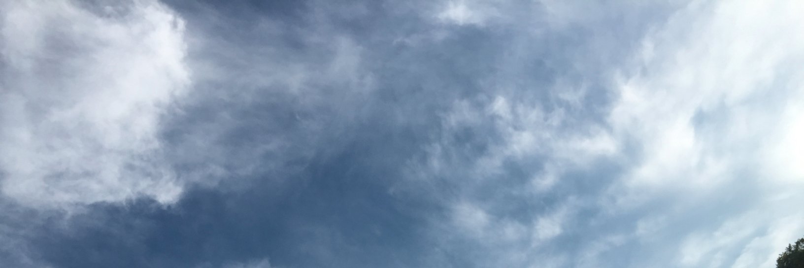 shalapitcher's profile banner image