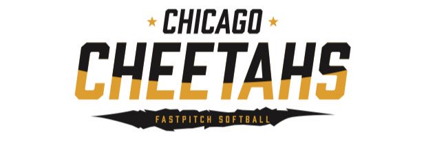 Chicago Cheetahs Org banner