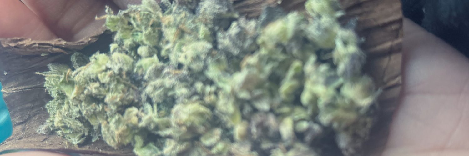 Mya banner