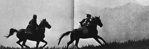 аsja 🗡️ | edtwt banner