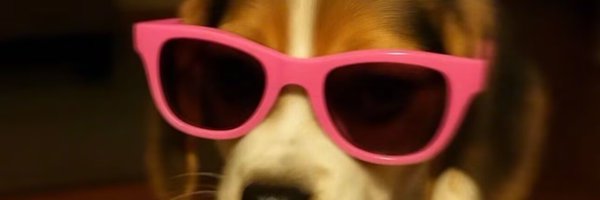 tp11628 Profile Banner