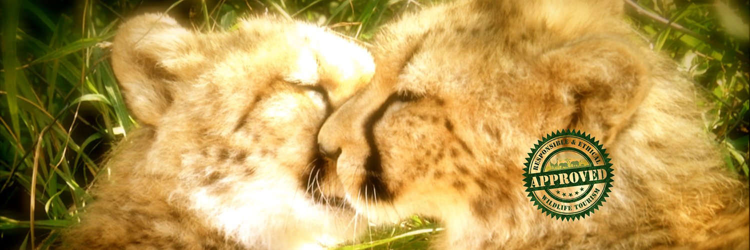 UkutulaLodge's profile banner image