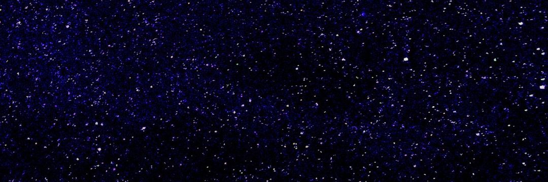 sebasthenics's profile banner image