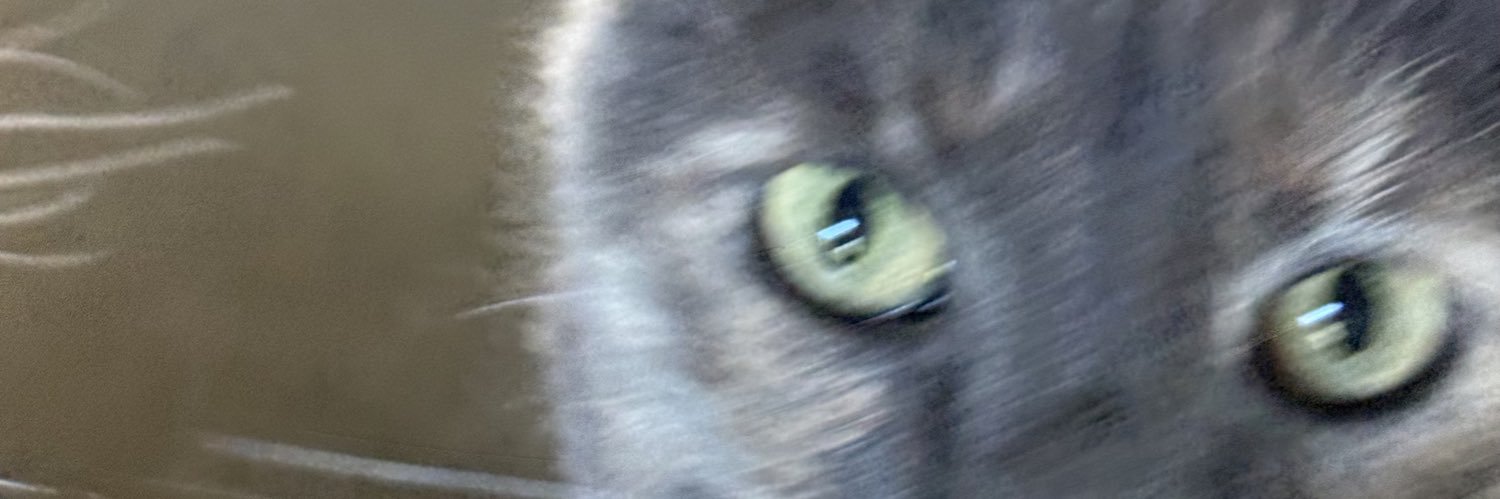 catknapped's profile banner image
