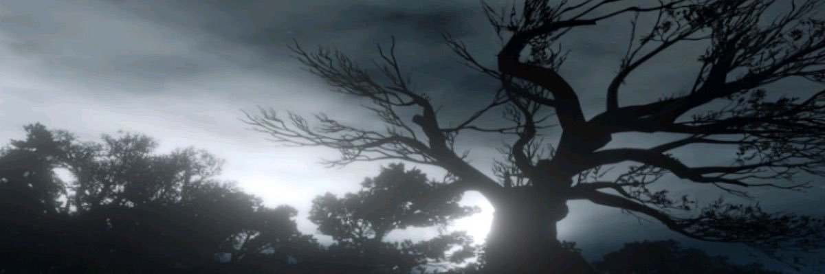 Twitter banner for @swoojy