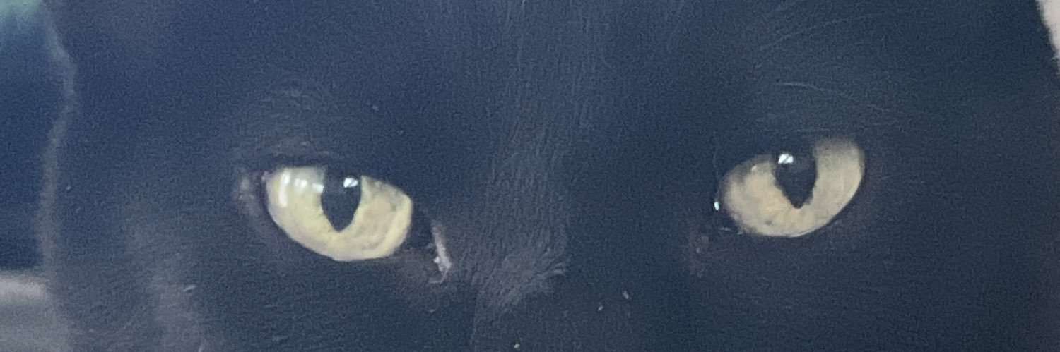 DankReject's profile banner image