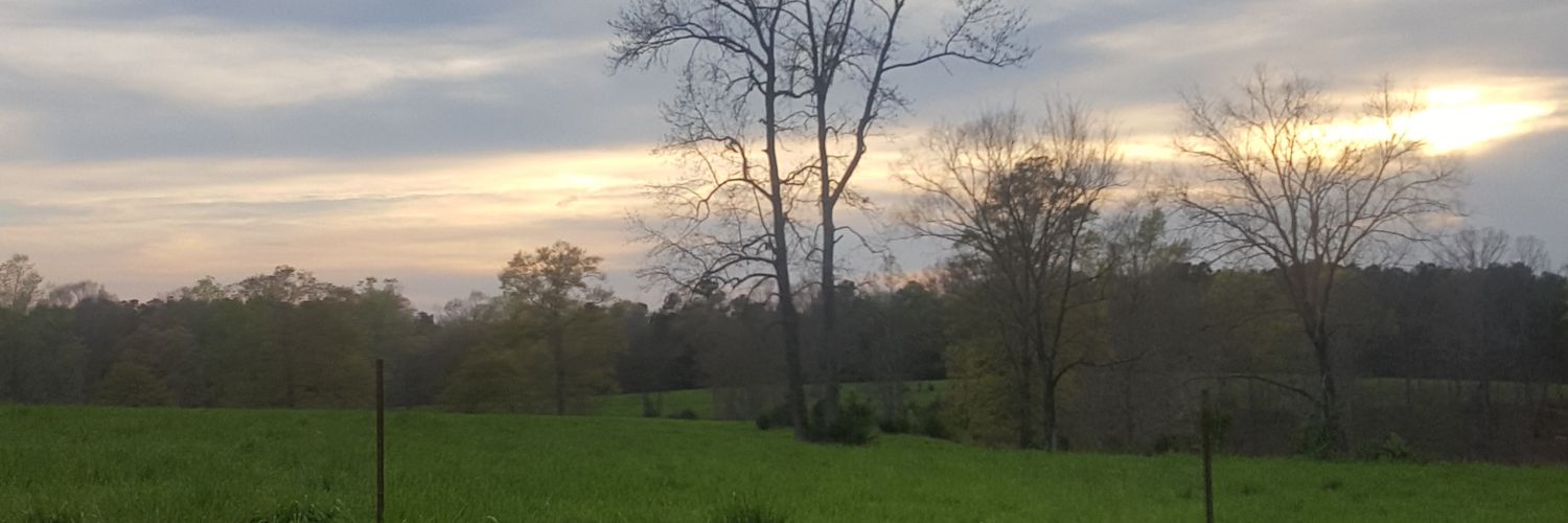 BareFootndCrazy's profile banner image