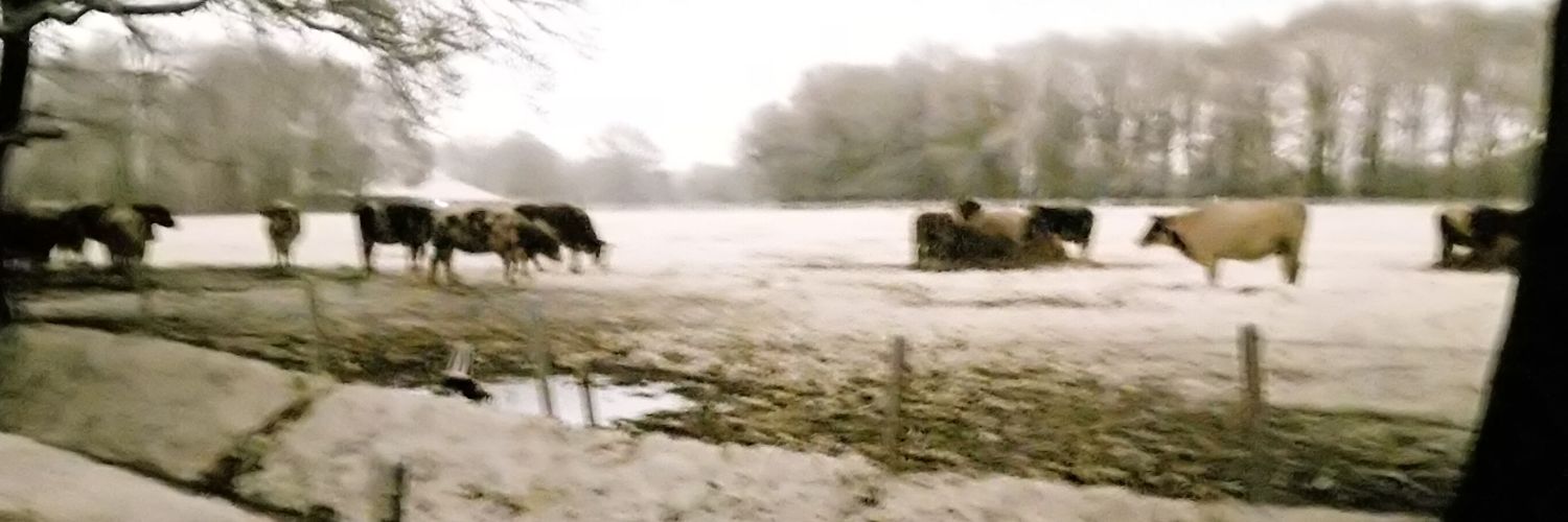 David van Deijk 🏳️‍🌈 piratenpartij banner