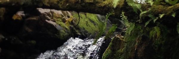 mrs_nicdavies Profile Banner