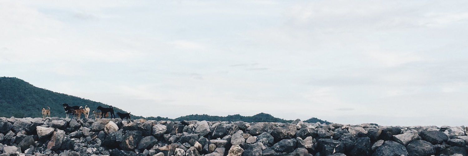 IFuu_buf's profile banner image