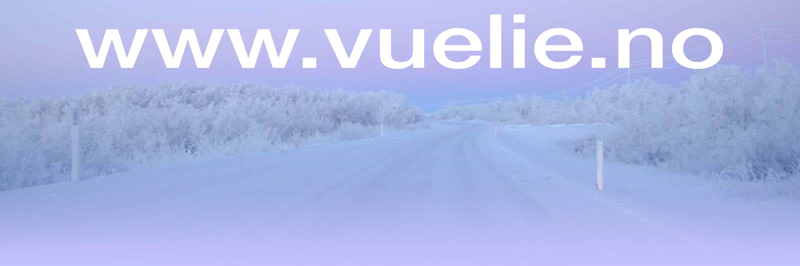 vuelie's profile banner image
