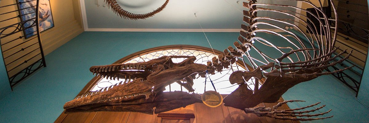 KU Natural History Museum's banner