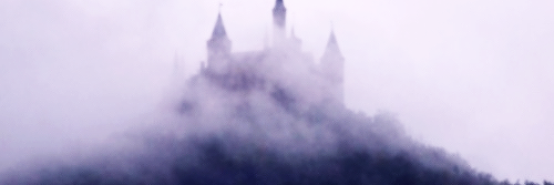 mctj_'s profile banner image