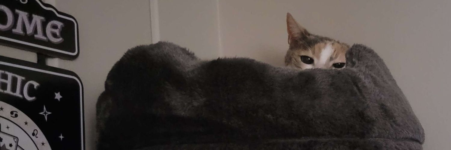 𝕽𝖎𝖛𝖊𝖗 🦨 banner