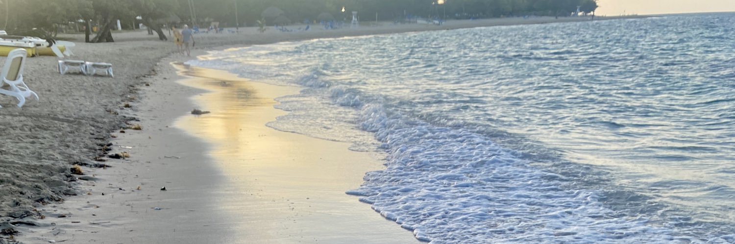 Terri Warner banner