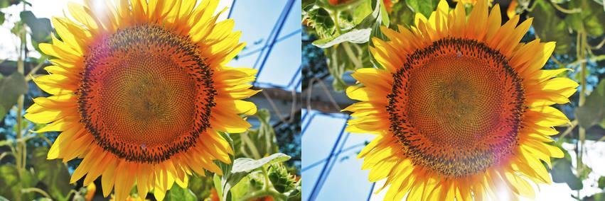 hayllll's profile banner image