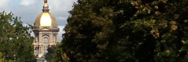 leannewiborg Profile Banner