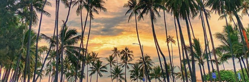 ShopStaYoung's profile banner image