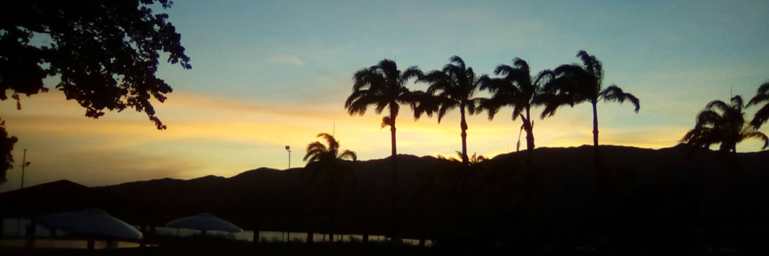 soniaszarvas's profile banner image