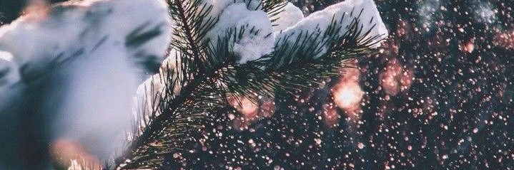 _Ravenclaw7's profile banner image