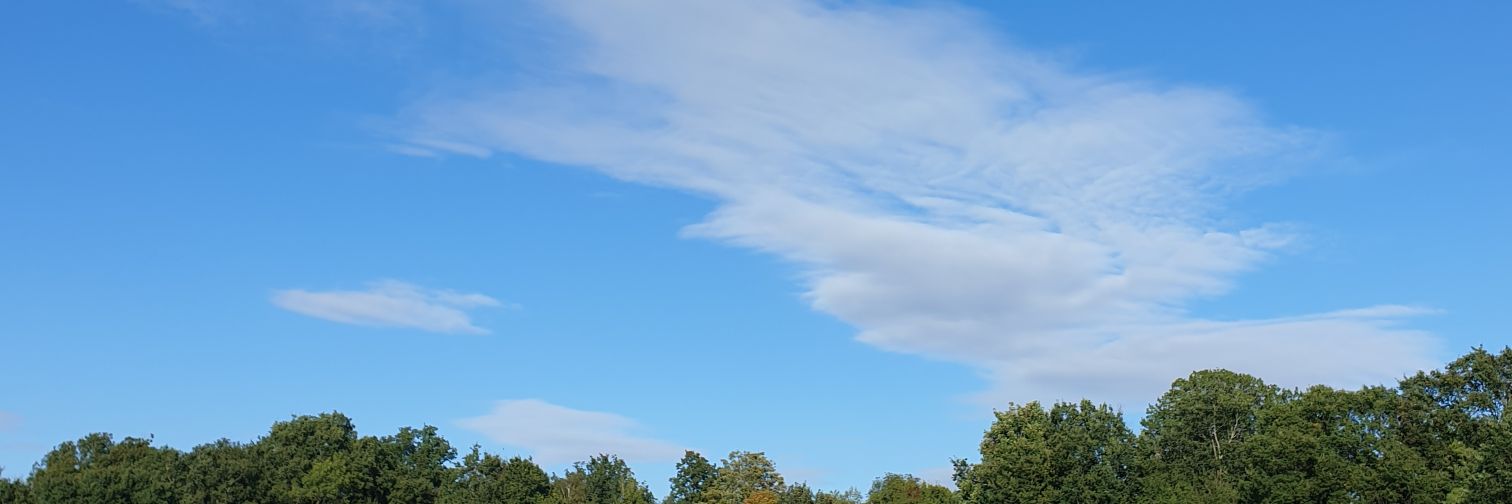 WHoneV1's profile banner image