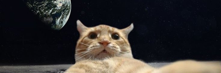 ocuzpic1z's profile banner image