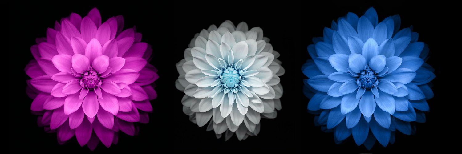 이 현❄️ banner