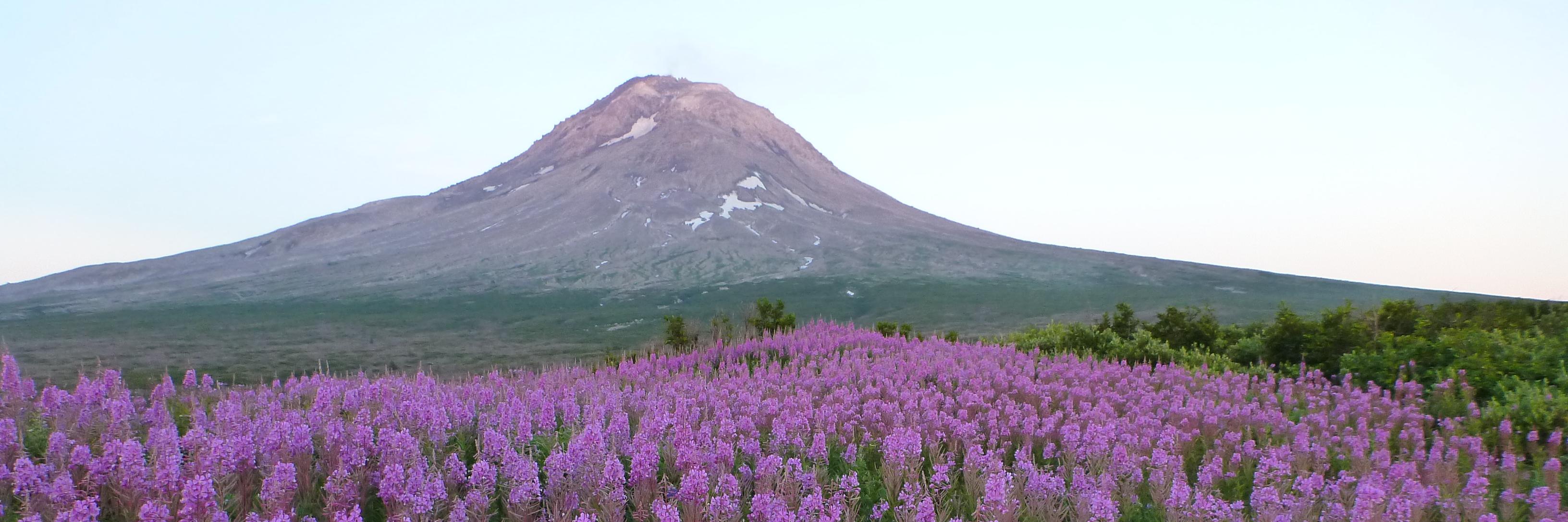 Alaska AVO's banner