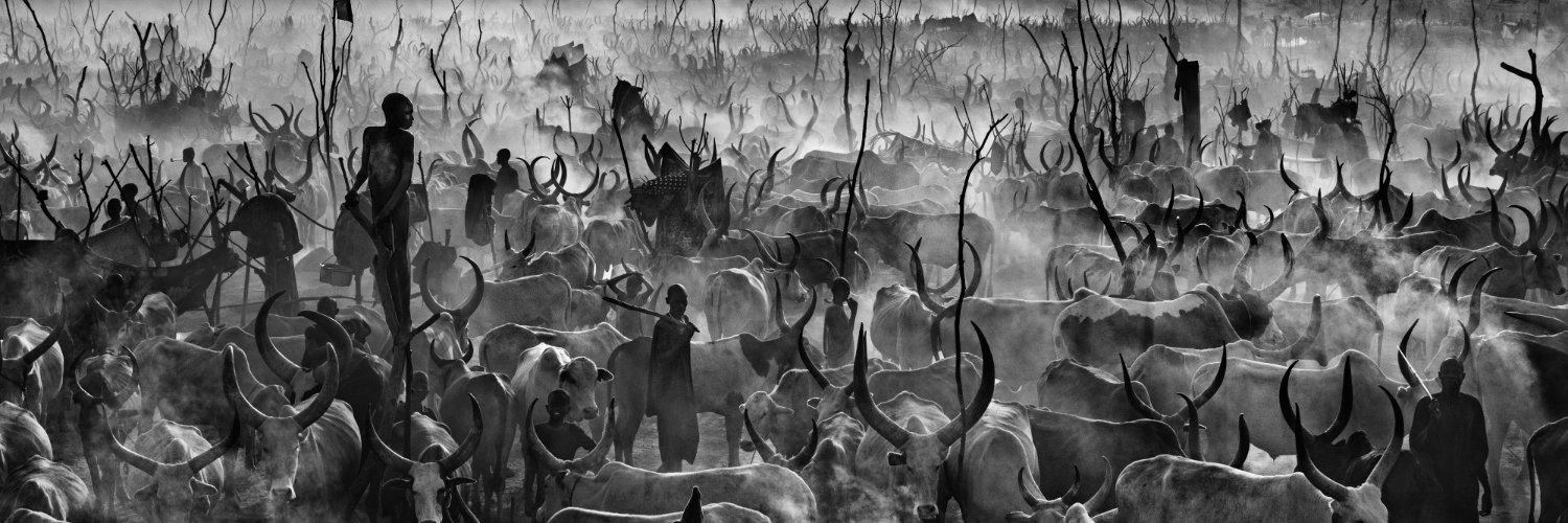 David Yarrow banner