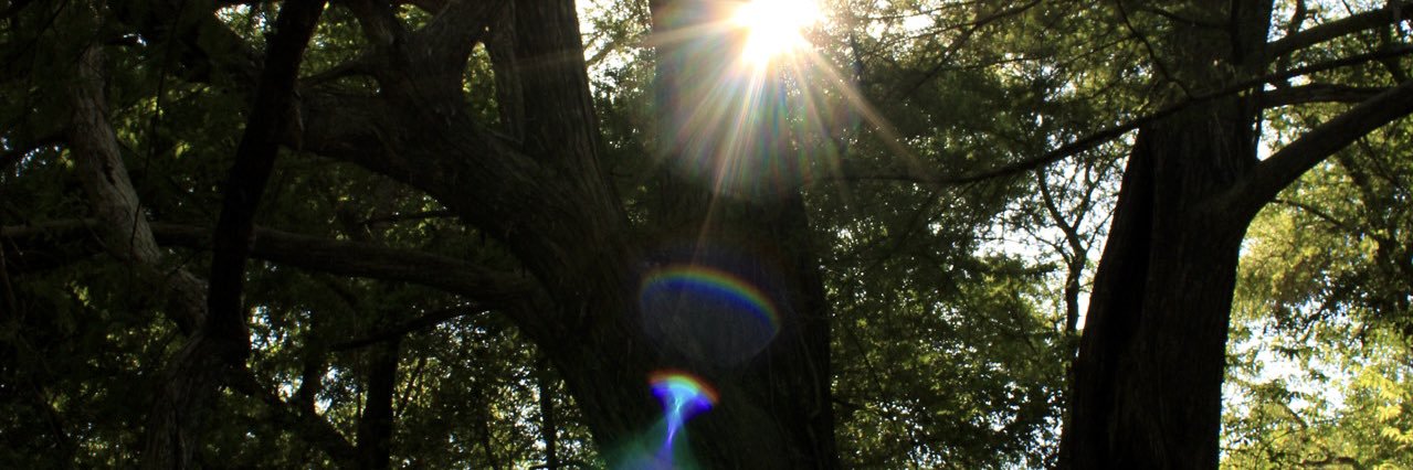 𝓖oopy lexi banner