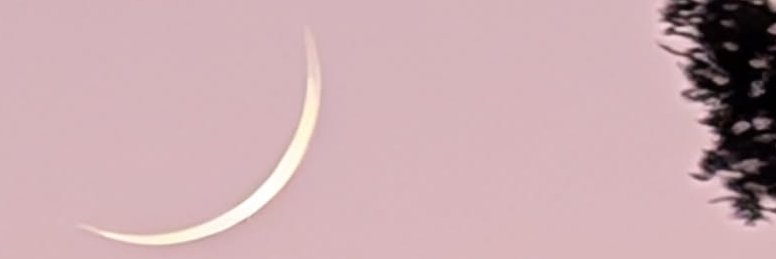 randOmuos's profile banner image