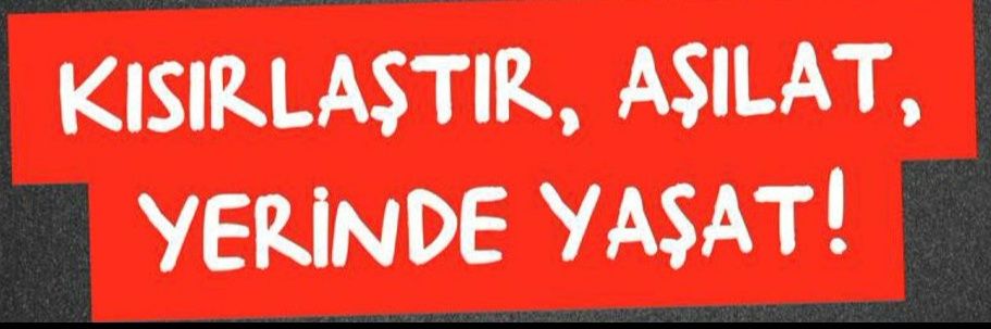 cydktg's profile banner image