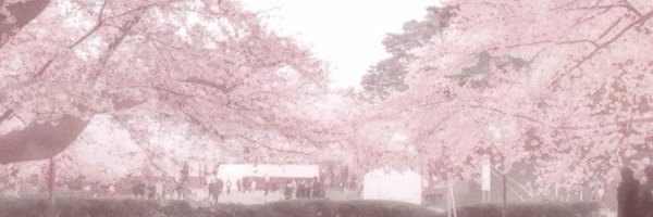 1nightballet Profile Banner