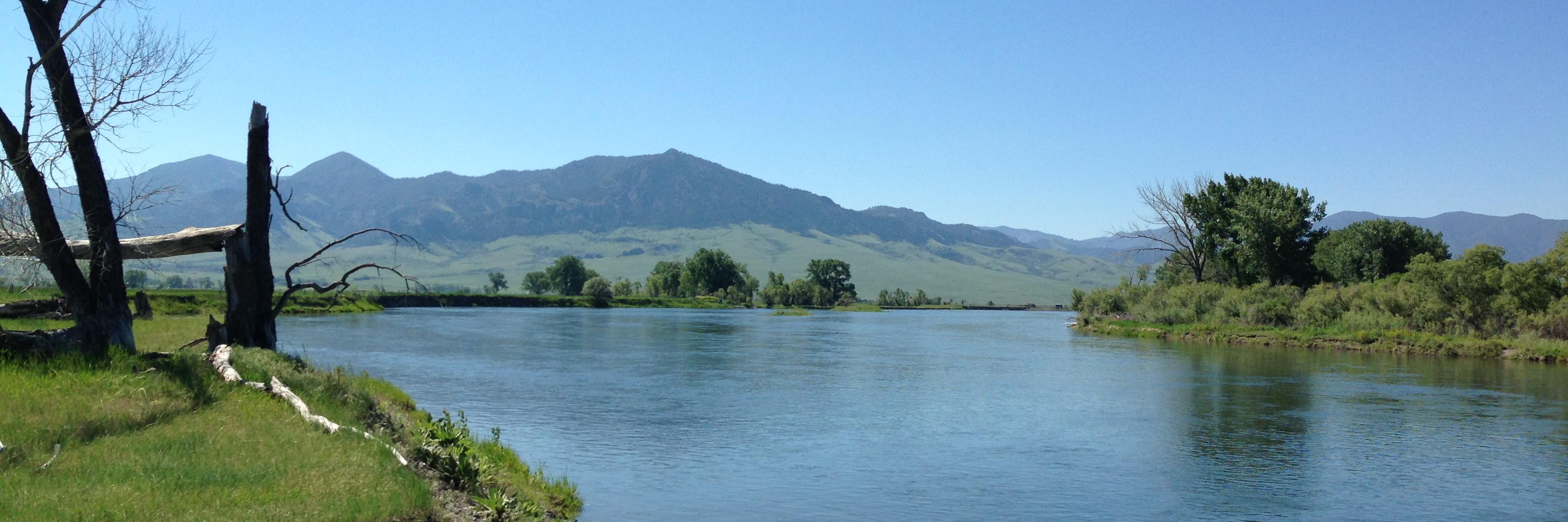 Burghtrout's profile banner image