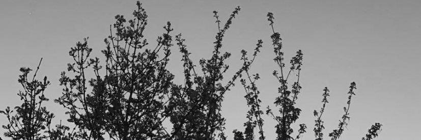 Ghettooo17's profile banner image