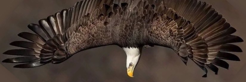 io_ejiofor's profile banner image