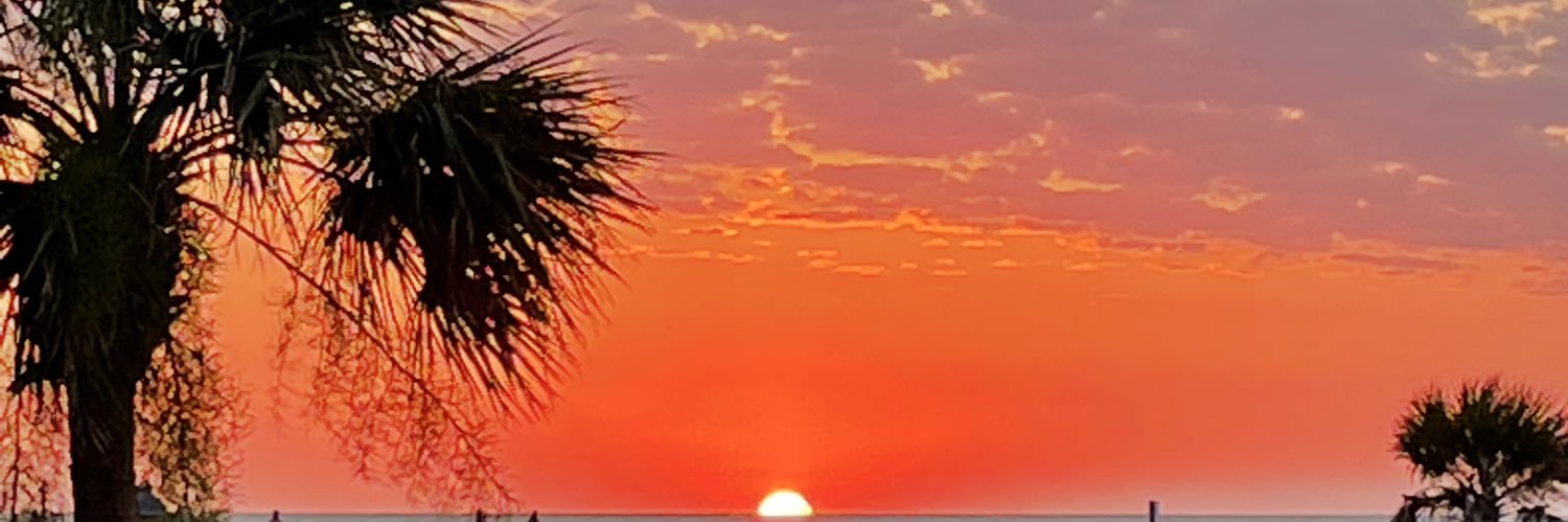 ThreatToIdiocracy👠 banner