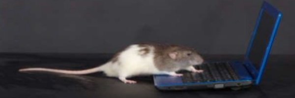 satanicyearning Profile Banner