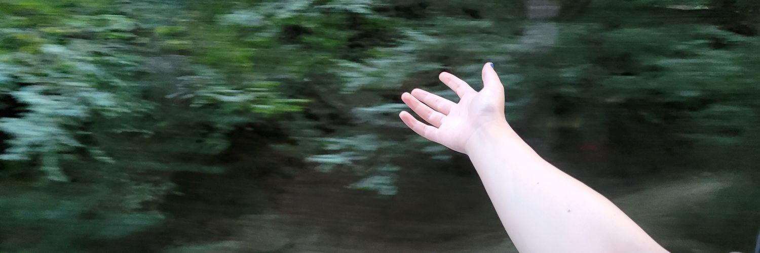 She banner